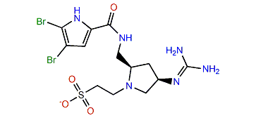 Nagelamide V